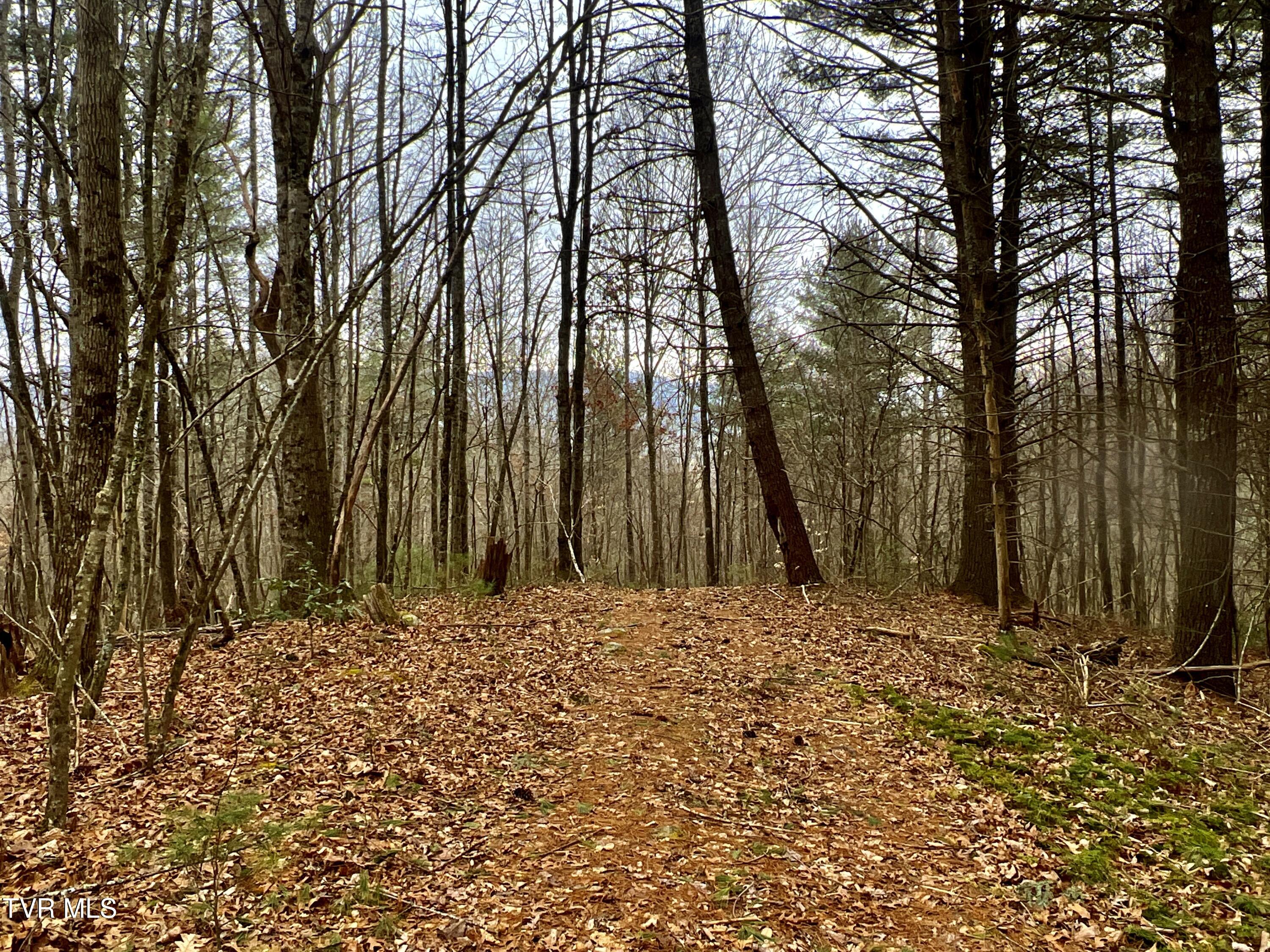 104ac Tbd Fire Tower Road, Mountain City, Tennessee image 45
