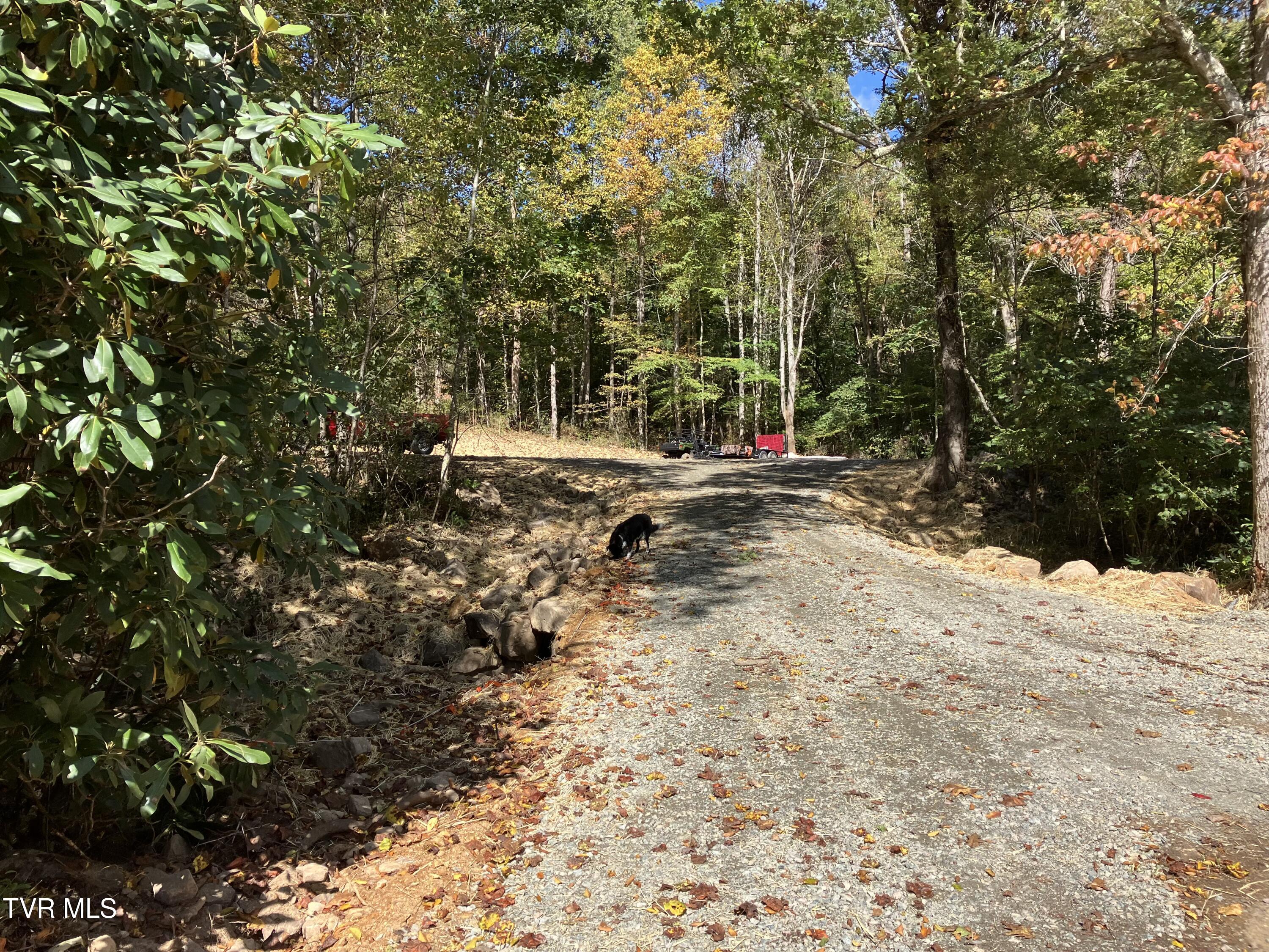 104ac Tbd Fire Tower Road, Mountain City, Tennessee image 4