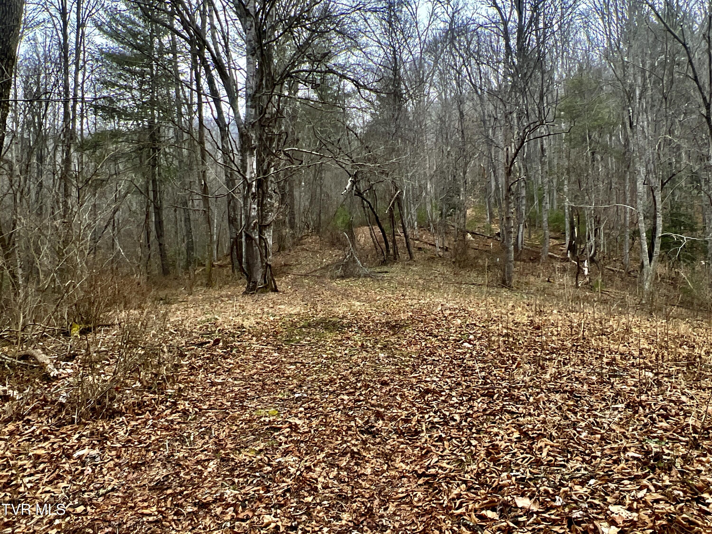 104ac Tbd Fire Tower Road, Mountain City, Tennessee image 35