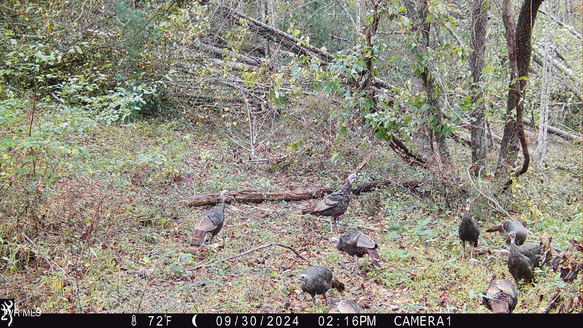 104ac Tbd Fire Tower Road, Mountain City, Tennessee image 32
