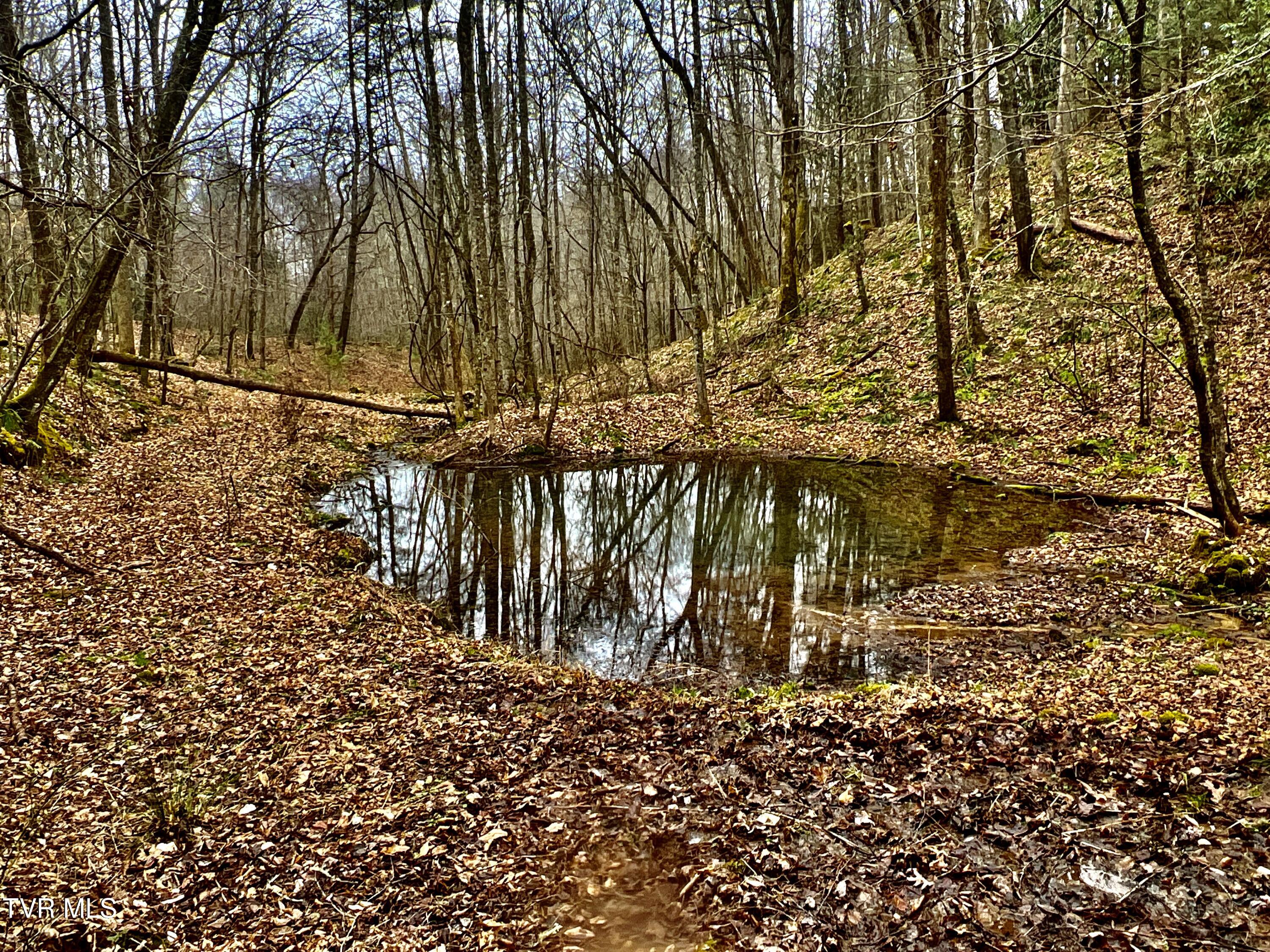 104ac Tbd Fire Tower Road, Mountain City, Tennessee image 14