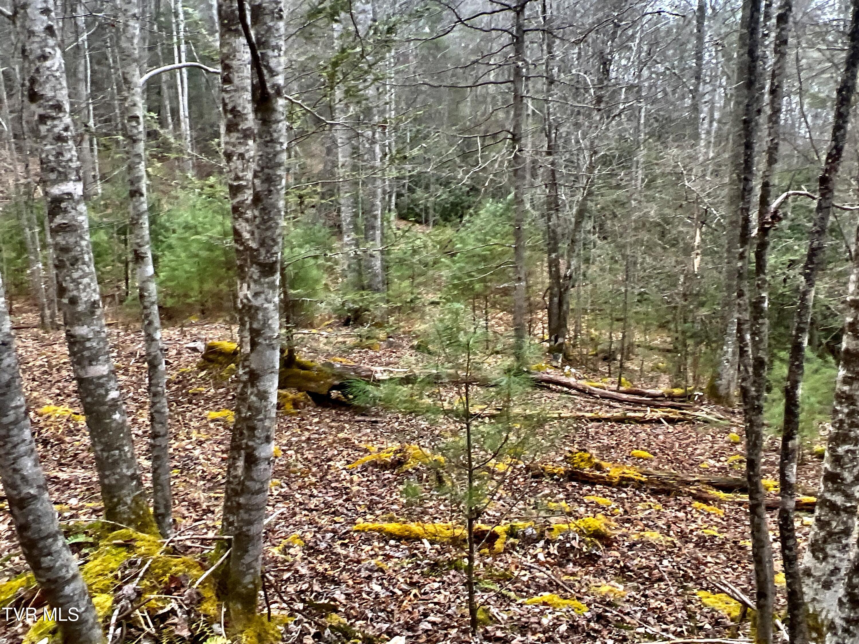 104ac Tbd Fire Tower Road, Mountain City, Tennessee image 47