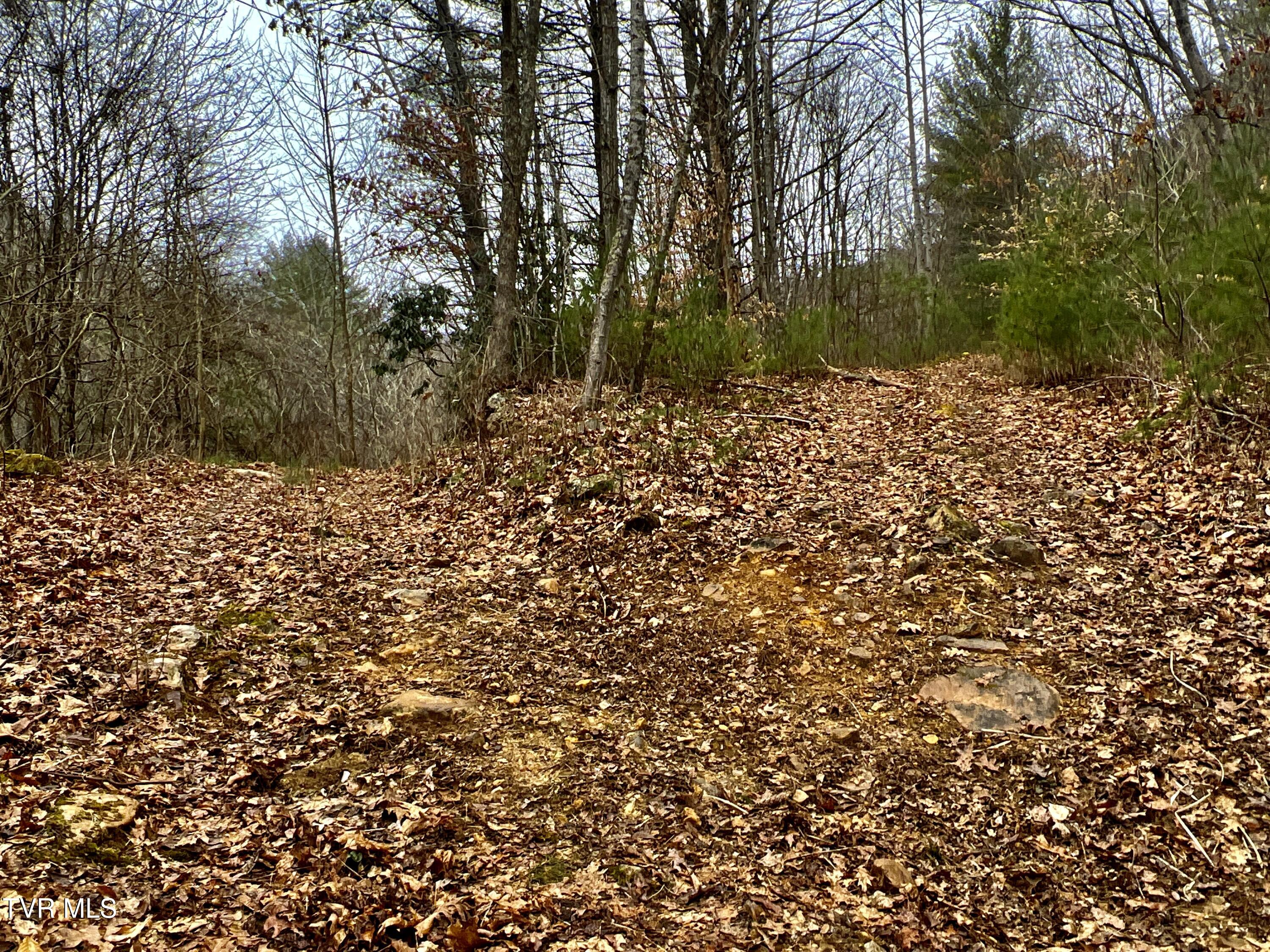 104ac Tbd Fire Tower Road, Mountain City, Tennessee image 41