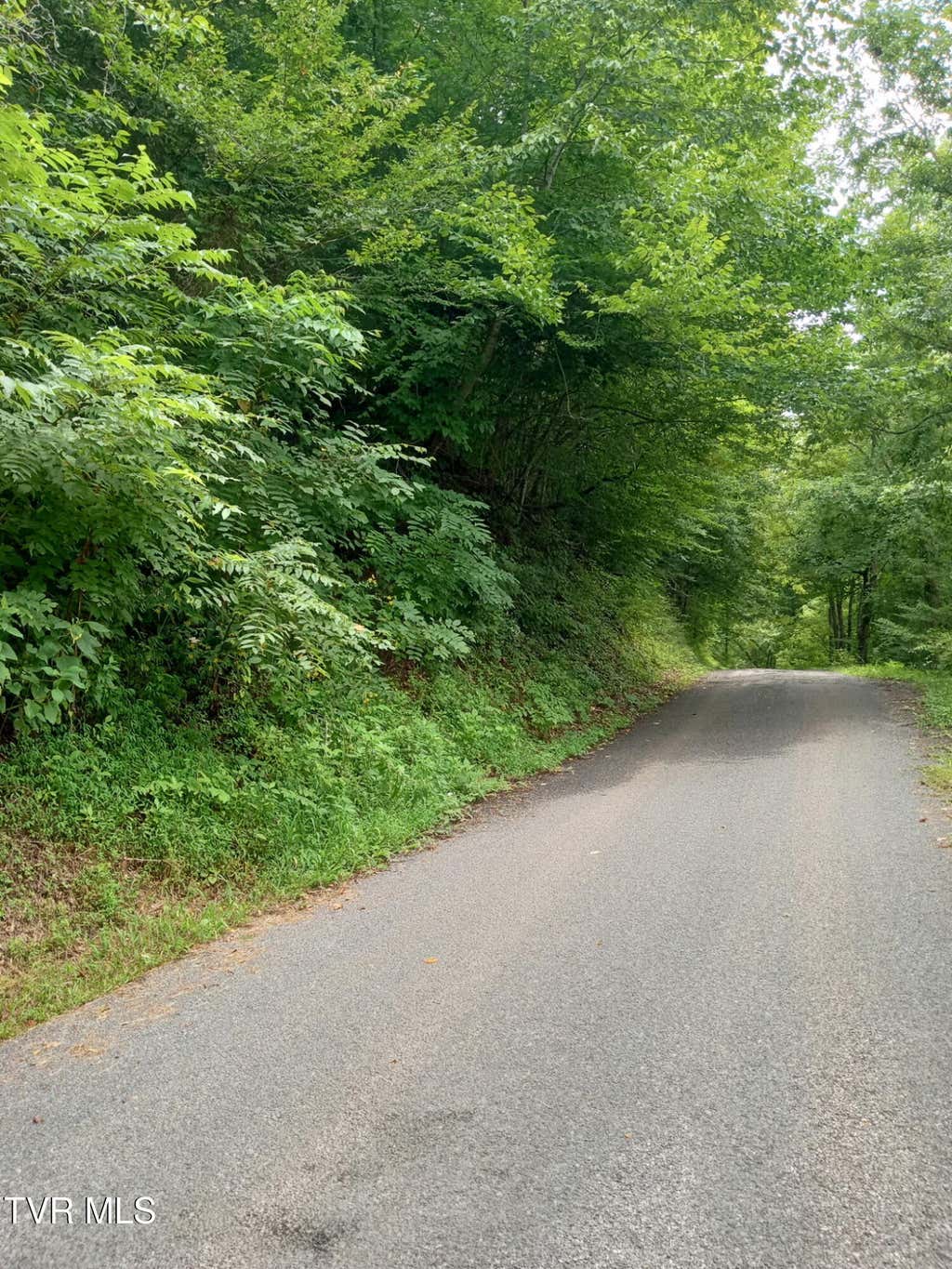 Photo of 520 Byrd Creek Road, Sneedville, TN 37869 (MLS # 9999306)