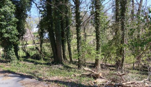 Vacant Land For Sale - TBD Crest Road<br/> Kingsport, TN 37664