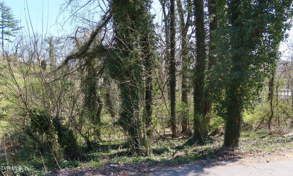 Photo of Tbd Crest Road, Kingsport, TN 37664 (MLS # 9992850)