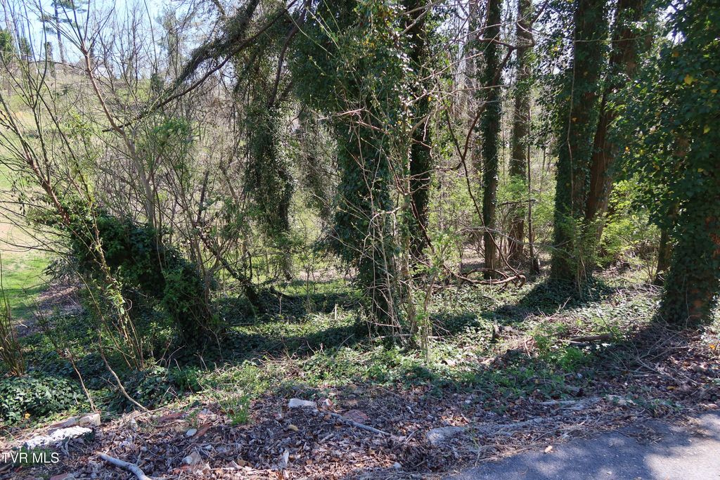 Photo of Tbd Crest Road, Kingsport, TN 37664 (MLS # 9992850)