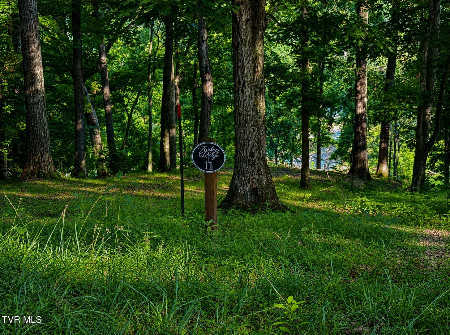 Turkey Ridge
