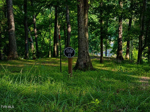 Vacant Land For Sale - 2297 Turkey Ridge Lane<br/> Piney Flats, TN 37686