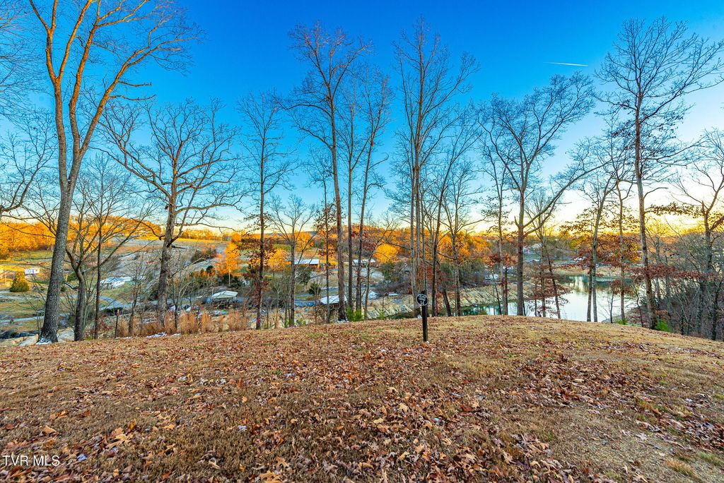 Photo of 2297 Turkey Ridge Lane, Piney Flats, TN 37686 (MLS # 9989334)