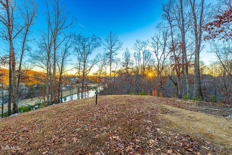 Vacant Land For Sale - 2297 Turkey Ridge Lane<br/> Piney Flats, TN 37686