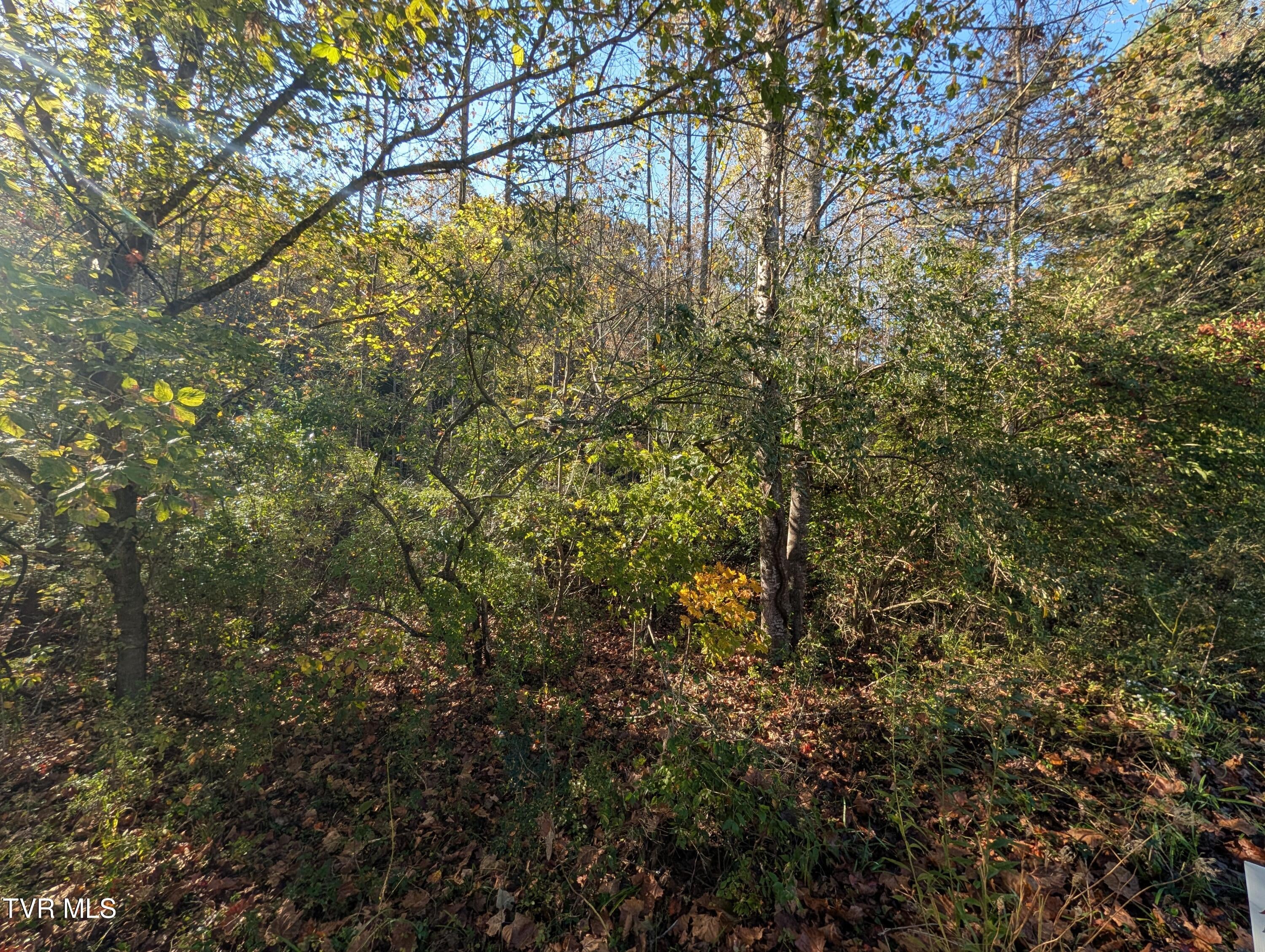 Tbd Clinch River Highway