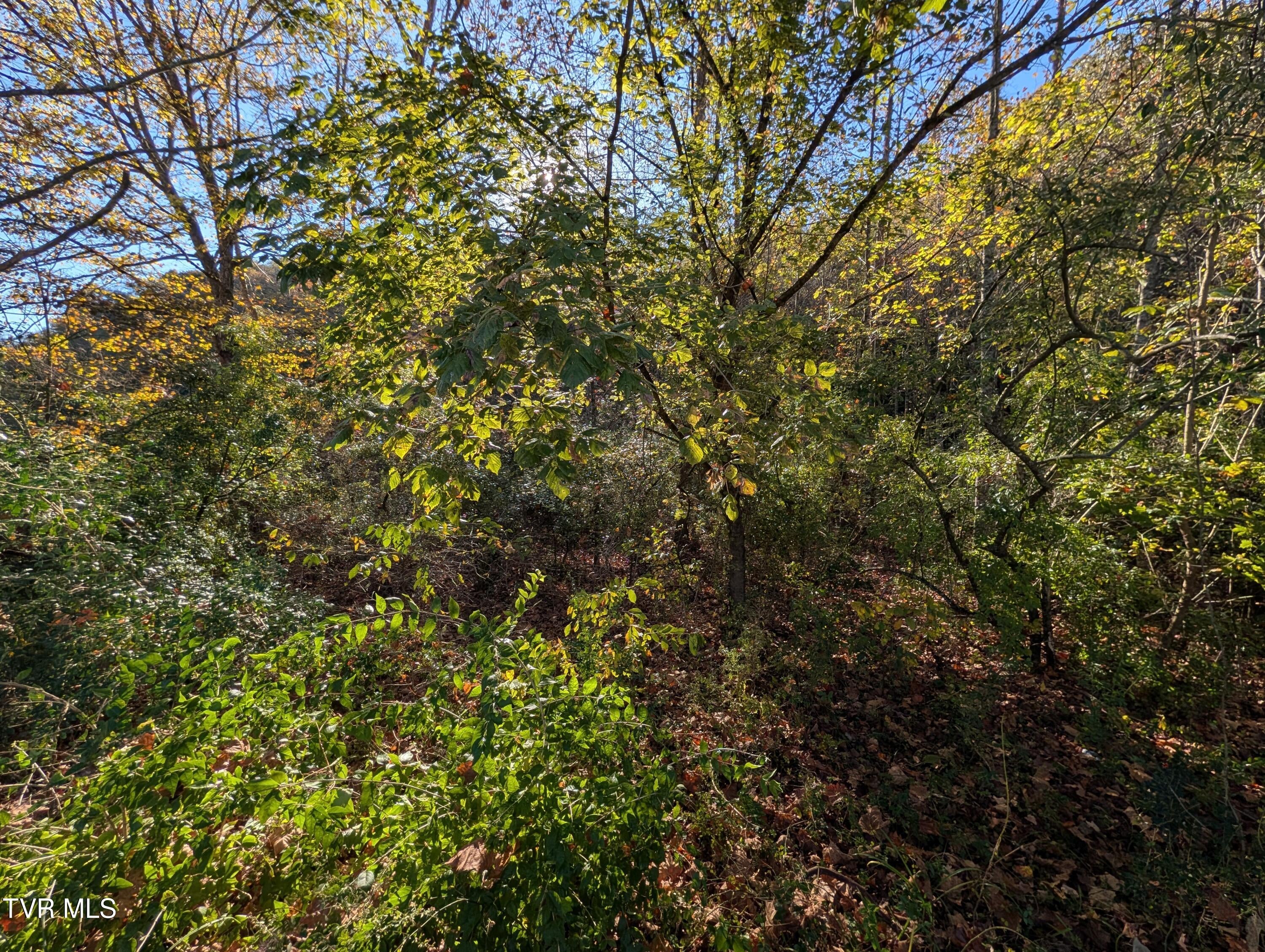 Tbd Clinch River Highway