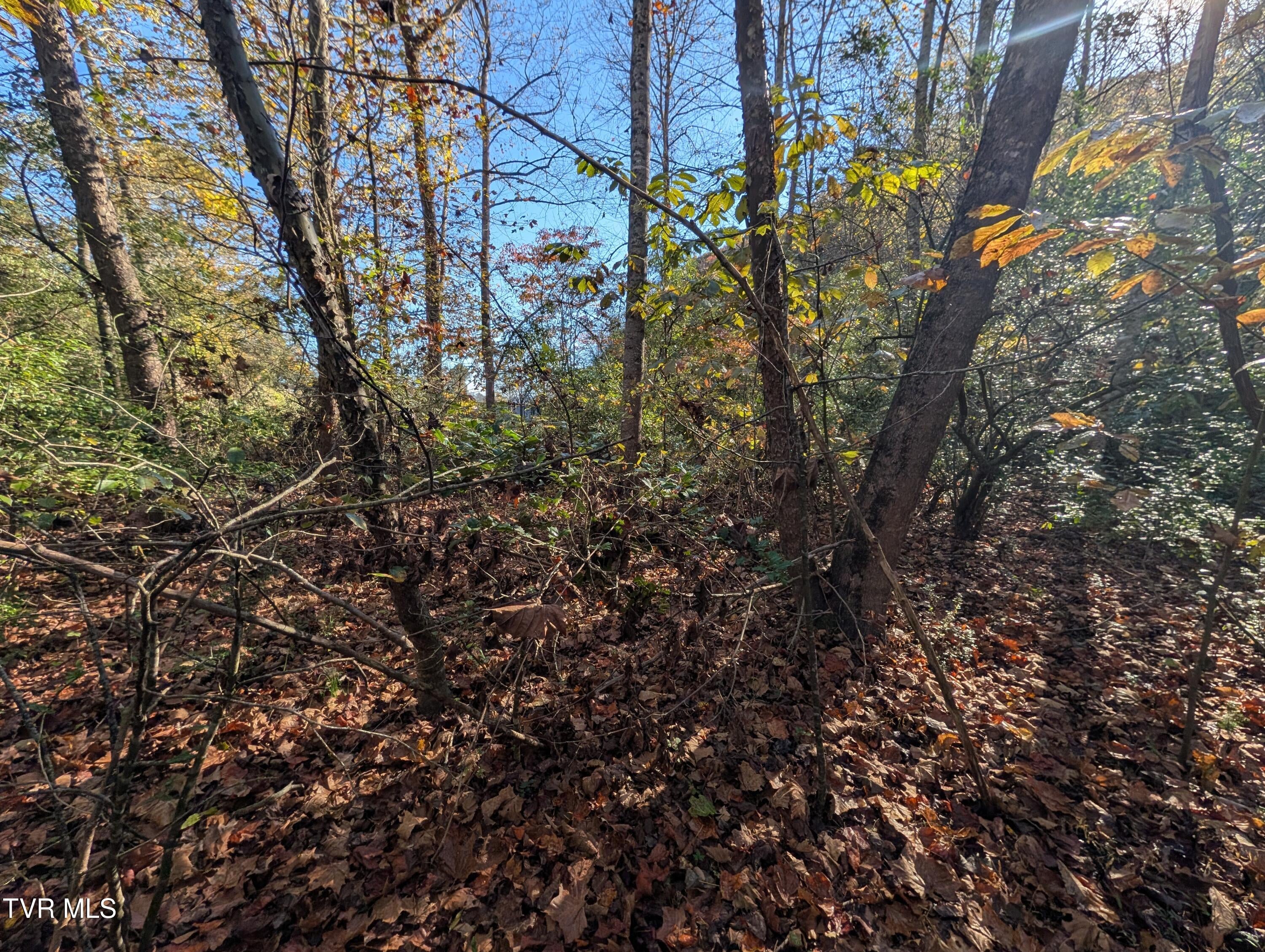 Tbd Clinch River Highway