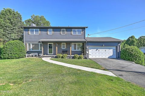 Photo of 733 Navaho Trail, Bristol, VA 24201 (MLS # 9995517)