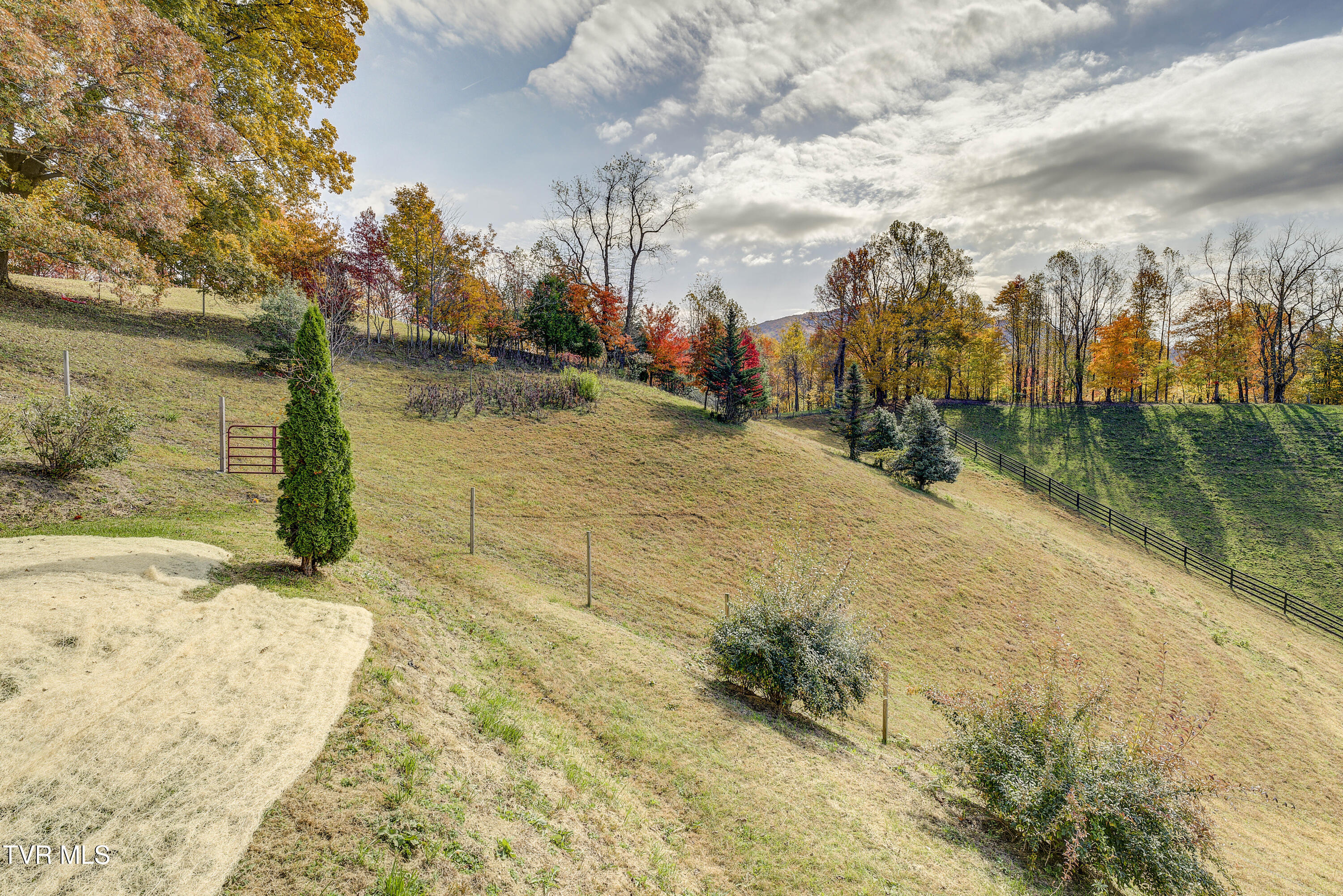 146 Bear Cage Road, Roan Mountain, Tennessee image 17