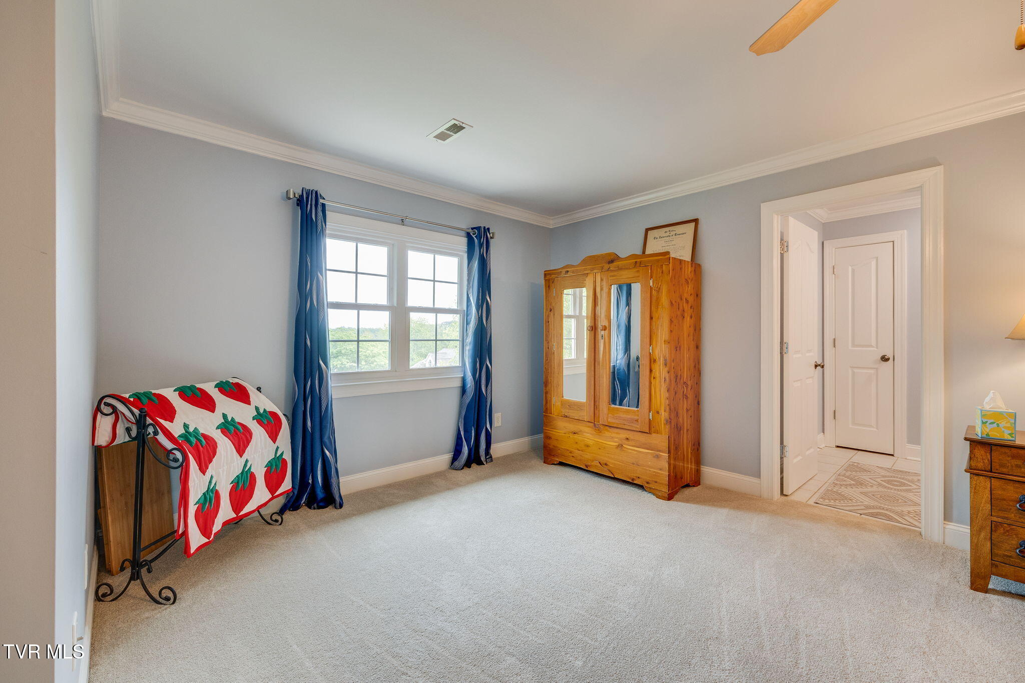 103 Countryside Drive, Johnson City, Tennessee image 37