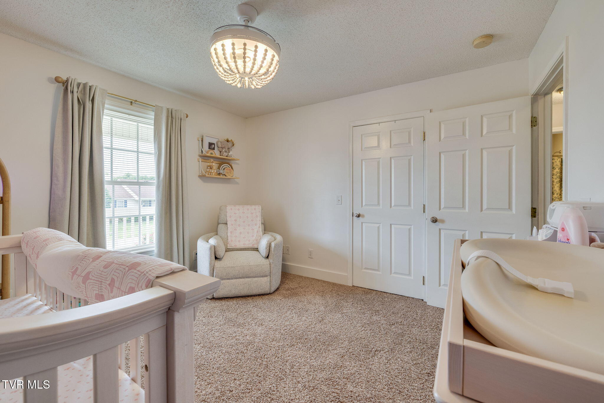 141 Violet Lane, Bluff City, Tennessee image 24
