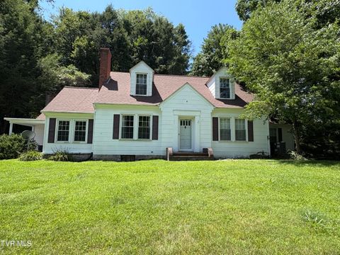 Homes For Sale - 313 Centre Avenue Ne Avenue<br/> Coeburn, VA 24230