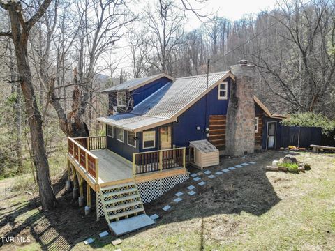 331 Bear Cage Road Roan Mountain TN 37687