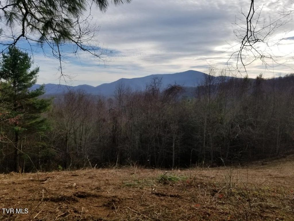 Photo of Tbd Bear Branch Road, Roan Mountain, TN 37687 (MLS # 9991450)