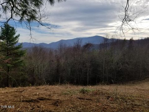 Vacant Land For Sale - TBD Bear Branch Road<br/> Roan Mountain, TN 37687