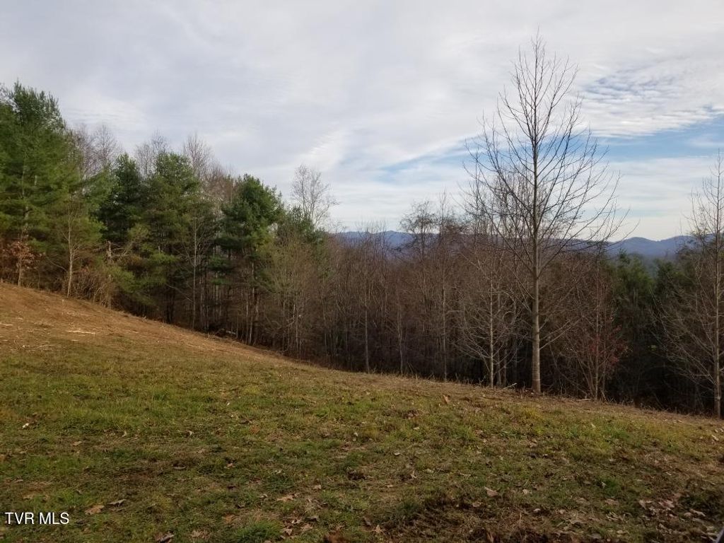 Photo of Tbd Bear Branch Road, Roan Mountain, TN 37687 (MLS # 9991450)