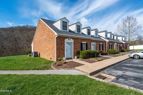 Photo of 508 Hickory Road #-, Bristol, TN 37620 (MLS # 9992690)