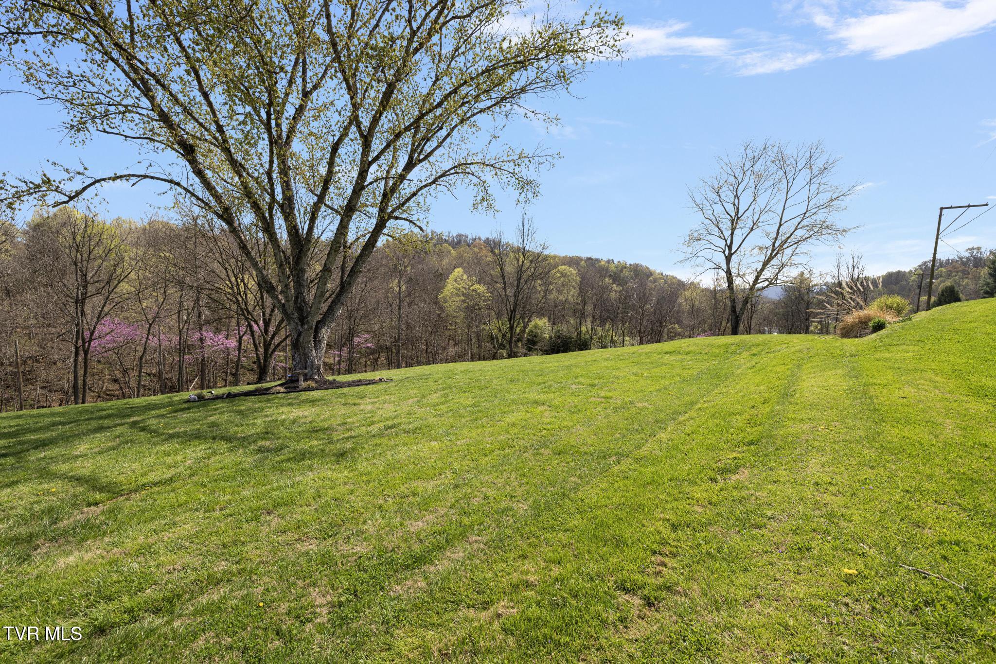 649 Gap Creek Road, Elizabethton, Tennessee image 41