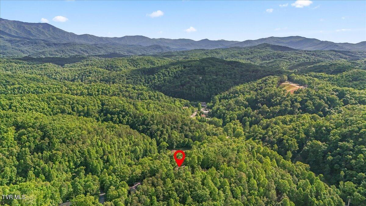 2213 Woodcock Trail, Sevierville, Tennessee image 48