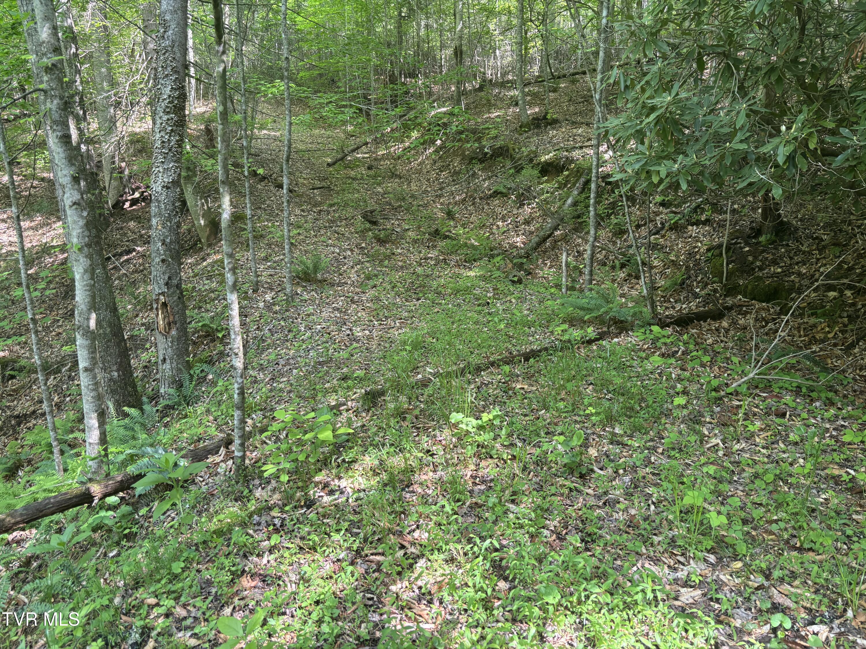 Lot 6b Of Roan Creek Road, Butler, Tennessee image 2