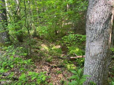Vacant Land For Sale - LOT 6B Of Roan Creek Road<br/> Johnson County, Butler, TN 37640