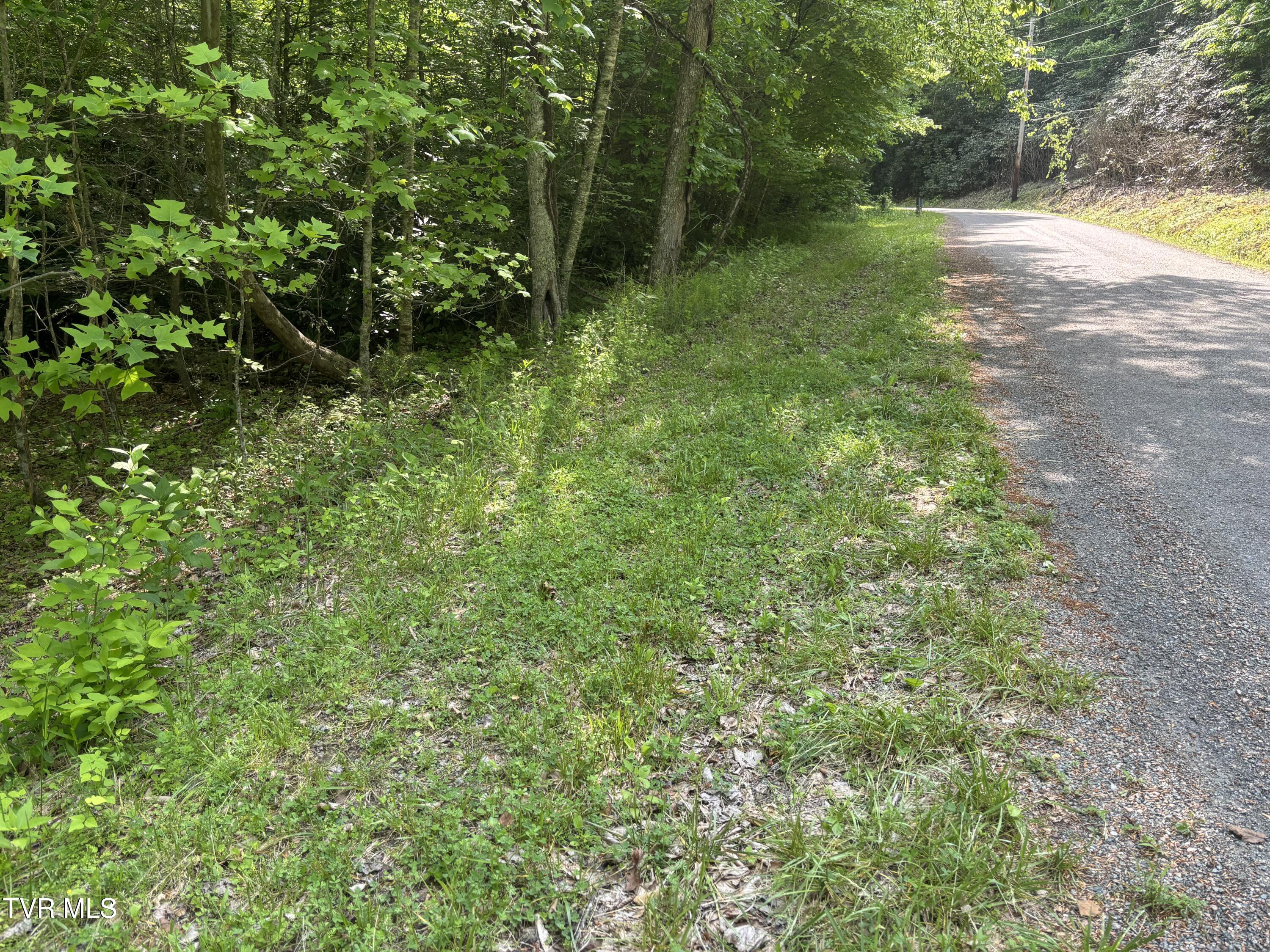 Lot 6b Of Roan Creek Road, Butler, Tennessee image 7