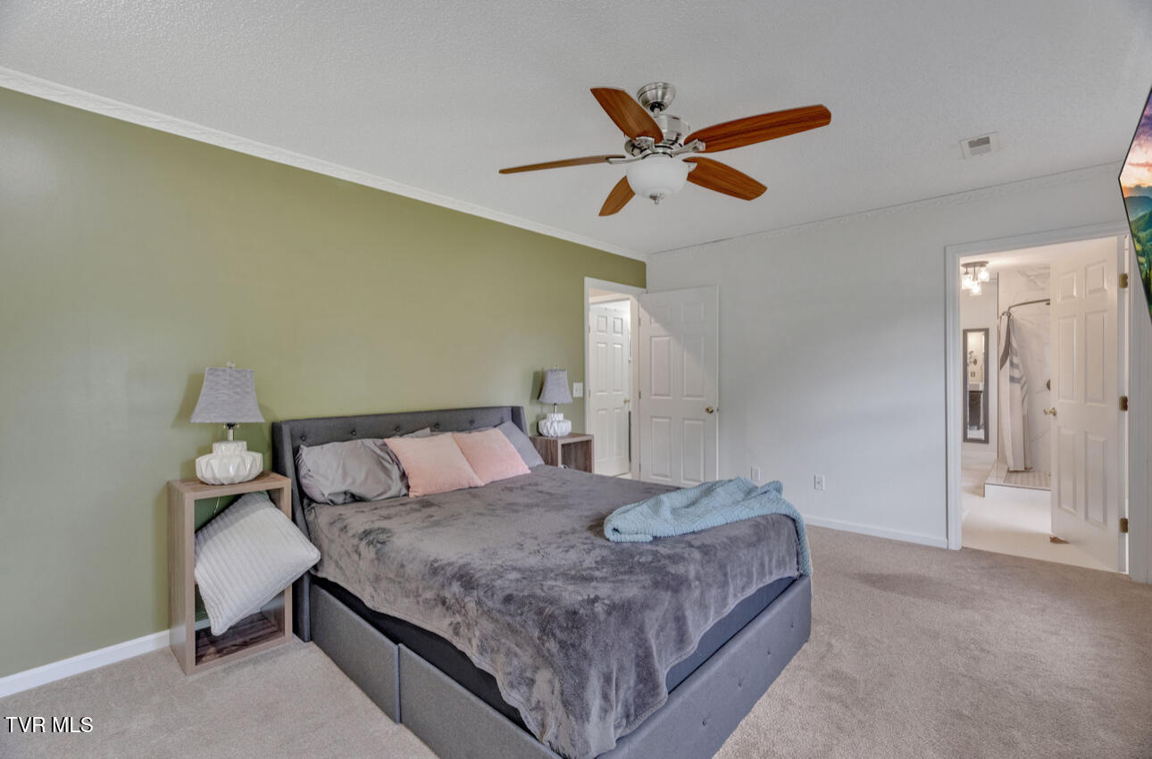 1019 Meadow Brook Drive, Unicoi, Tennessee image 23