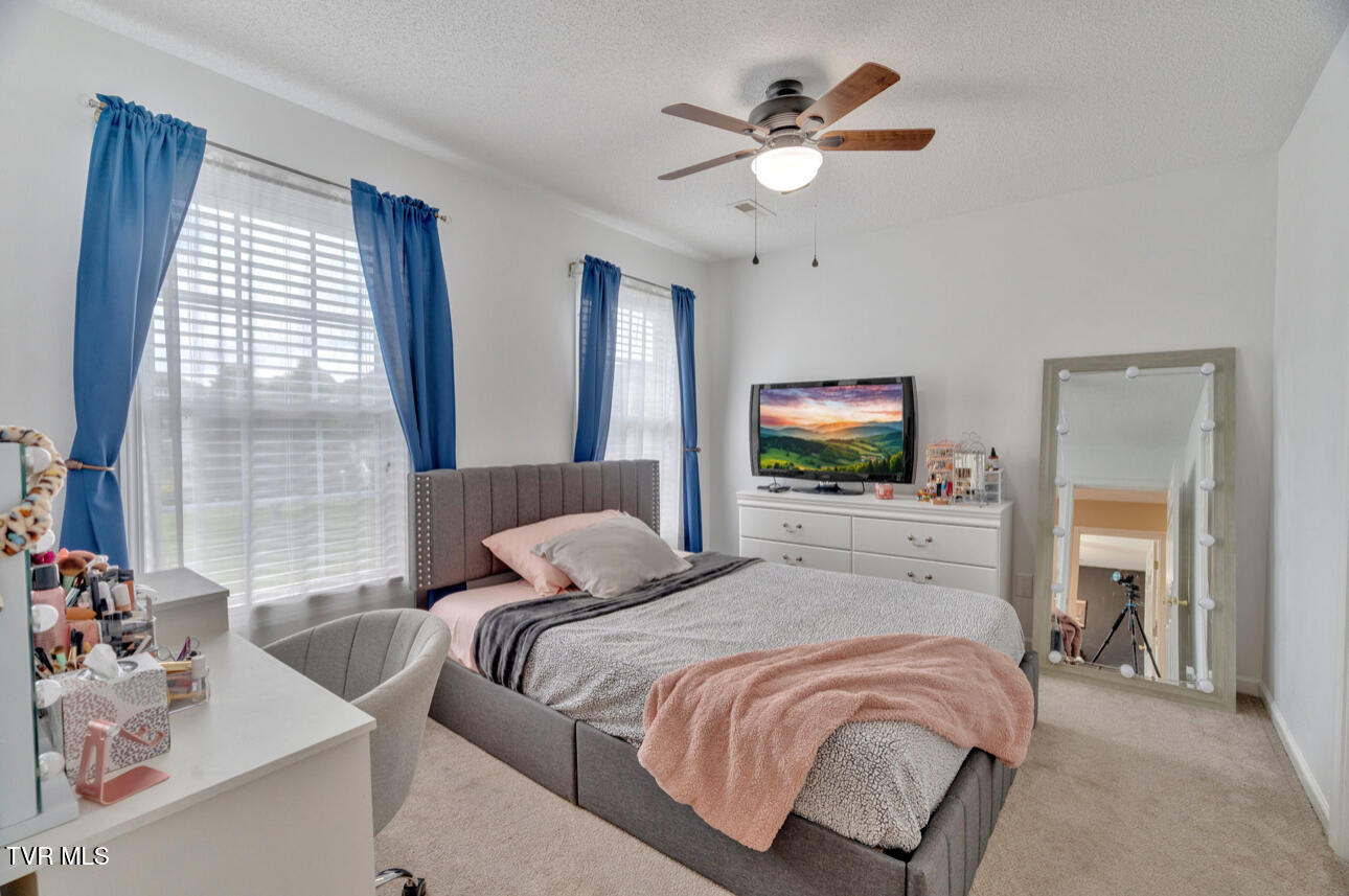 1019 Meadow Brook Drive, Unicoi, Tennessee image 28