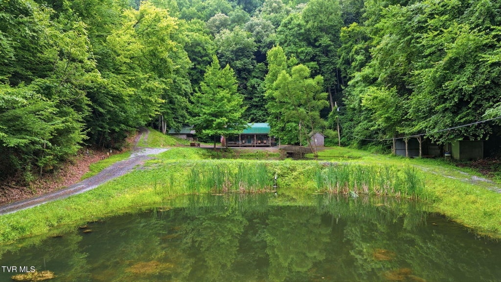Photo of 4951 England Valley Road, Duffield, VA 24244 (MLS # 9998920)