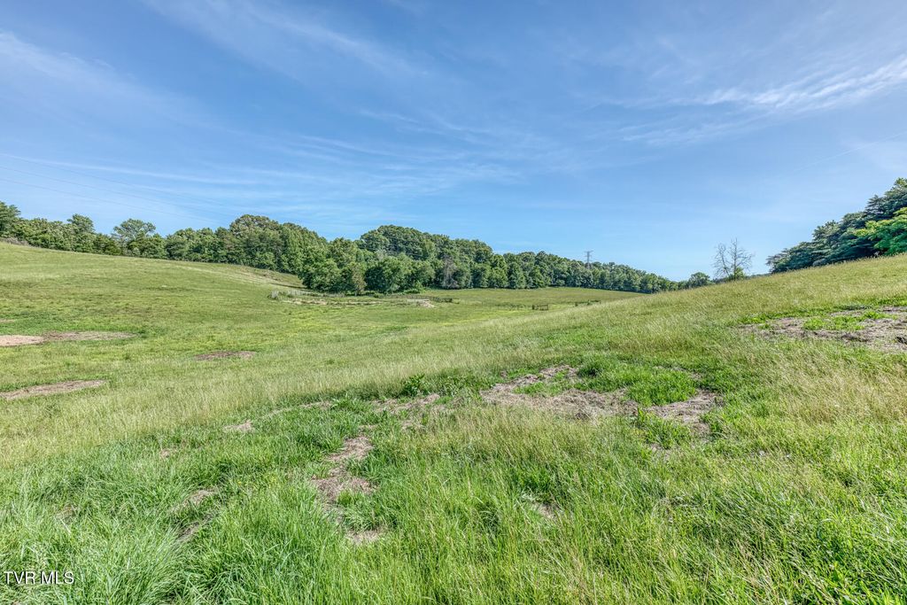 Photo of Tbd Treadway Trail, Telford, TN 37690 (MLS # 9996700)