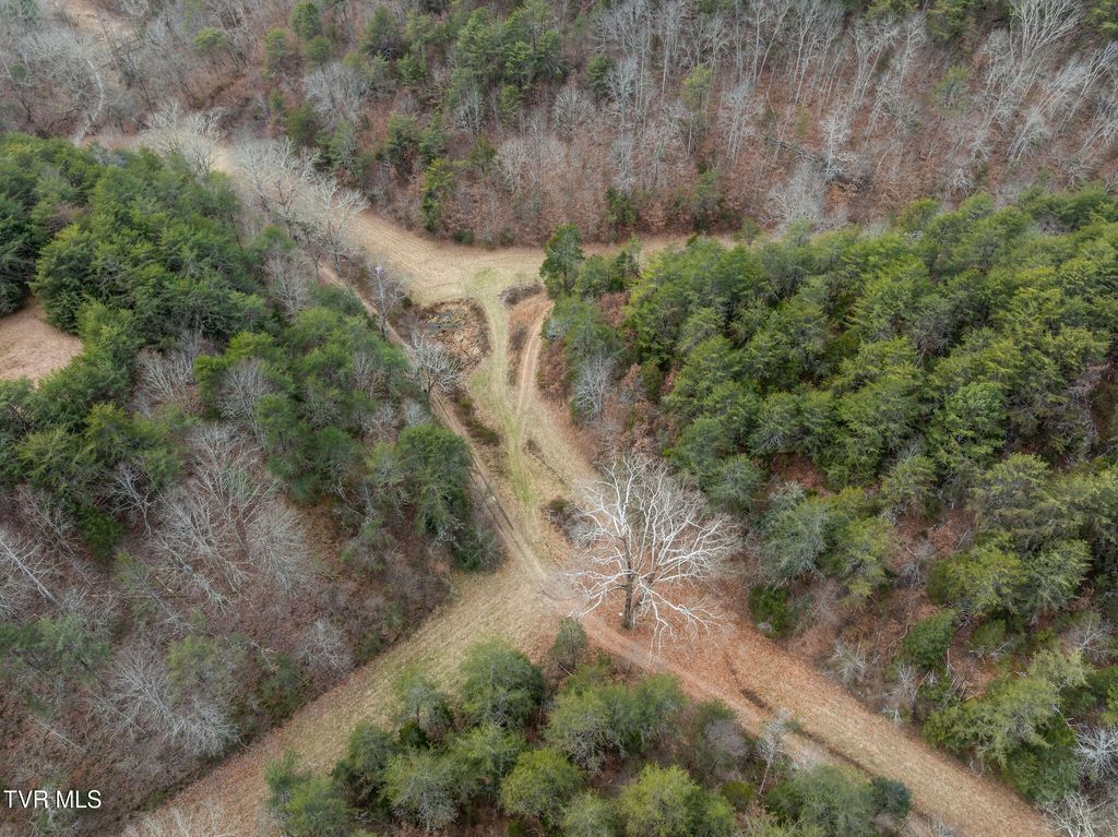 Photo of 1135 Piney Flats Road, Watauga, TN 37694 (MLS # 9990378)