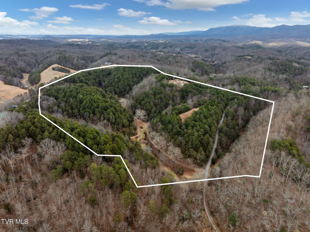 Photo of 1135 Piney Flats Road, Watauga, TN 37694 (MLS # 9990378)