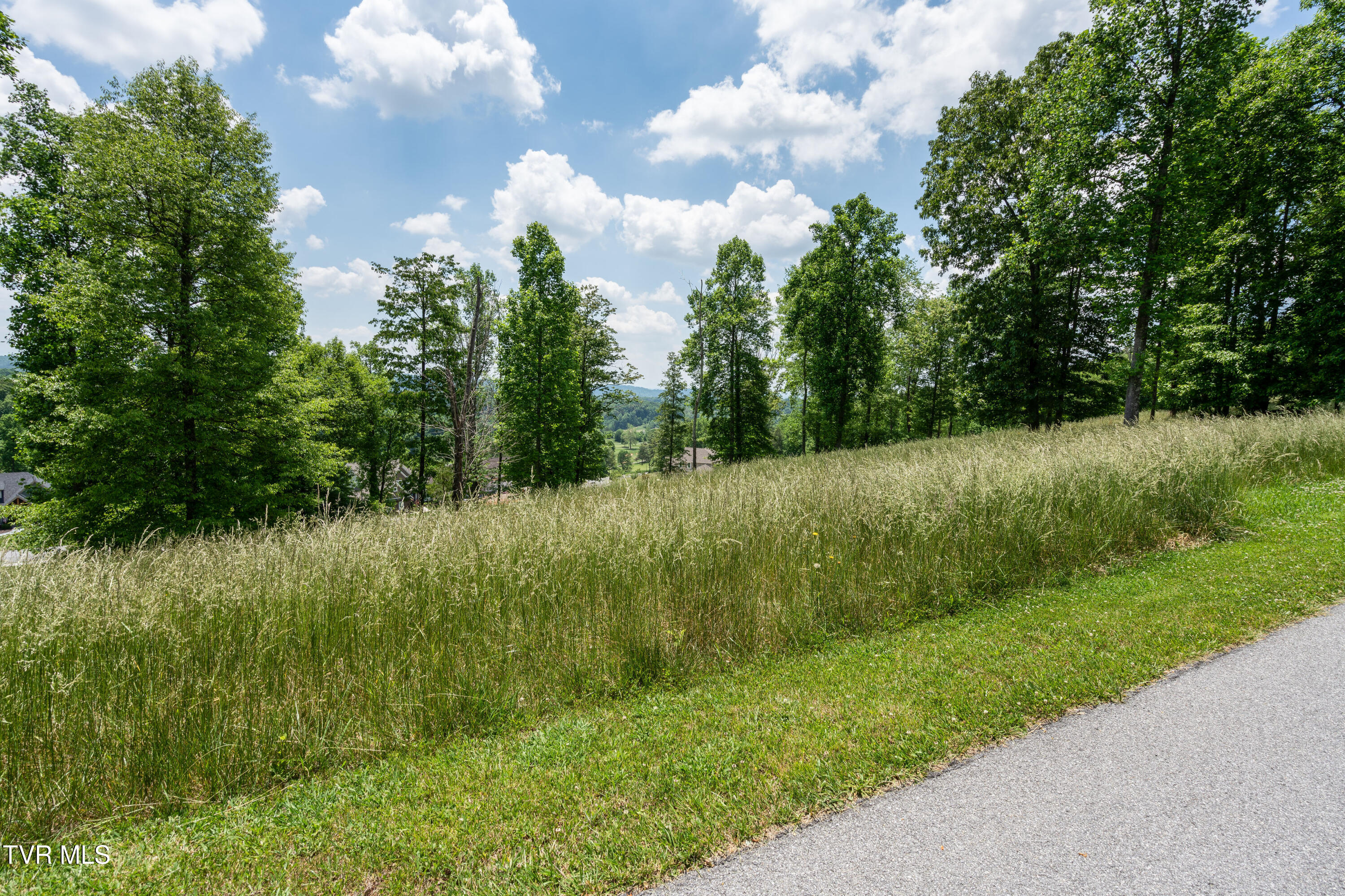 1226|1230 Ridgetop Trail, Kingsport, Tennessee image 16
