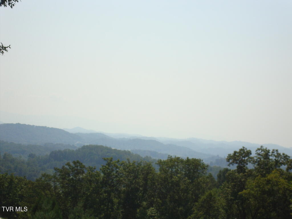 1226|1230 Ridgetop Trail, Kingsport, Tennessee image 45