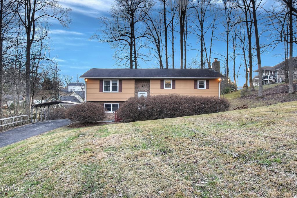 Photo of 114 Revere Circle, Elizabethton, TN 37643 (MLS # 9989493)