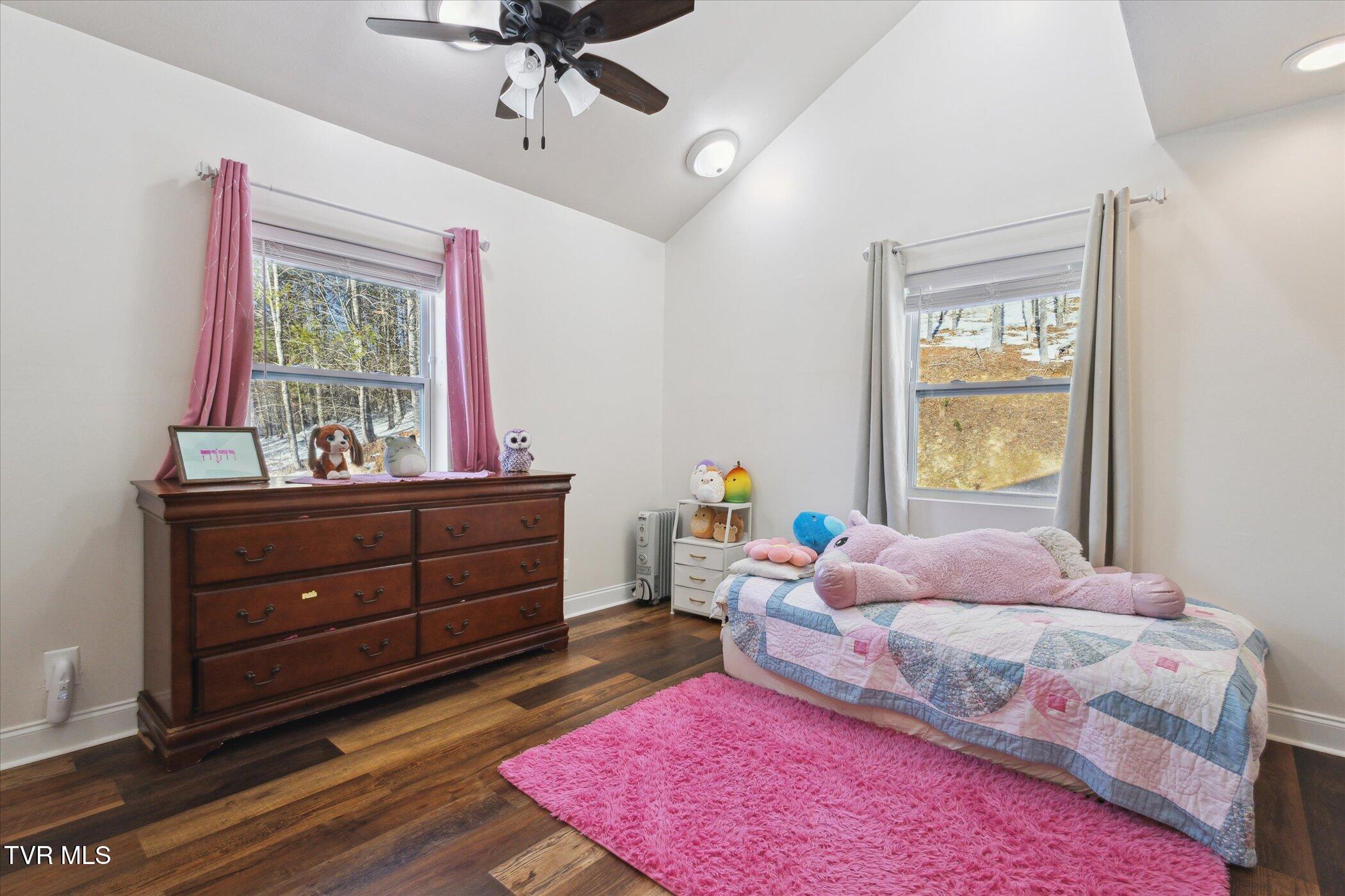 2191 Hubert Taylor Road, Mountain City, Tennessee image 30