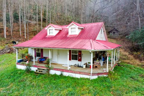 709 Johns Creek Road Del Rio TN 37727