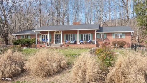 Photo of 250 Hummingbird Lane, Unicoi, TN 37692 (MLS # 9991999)