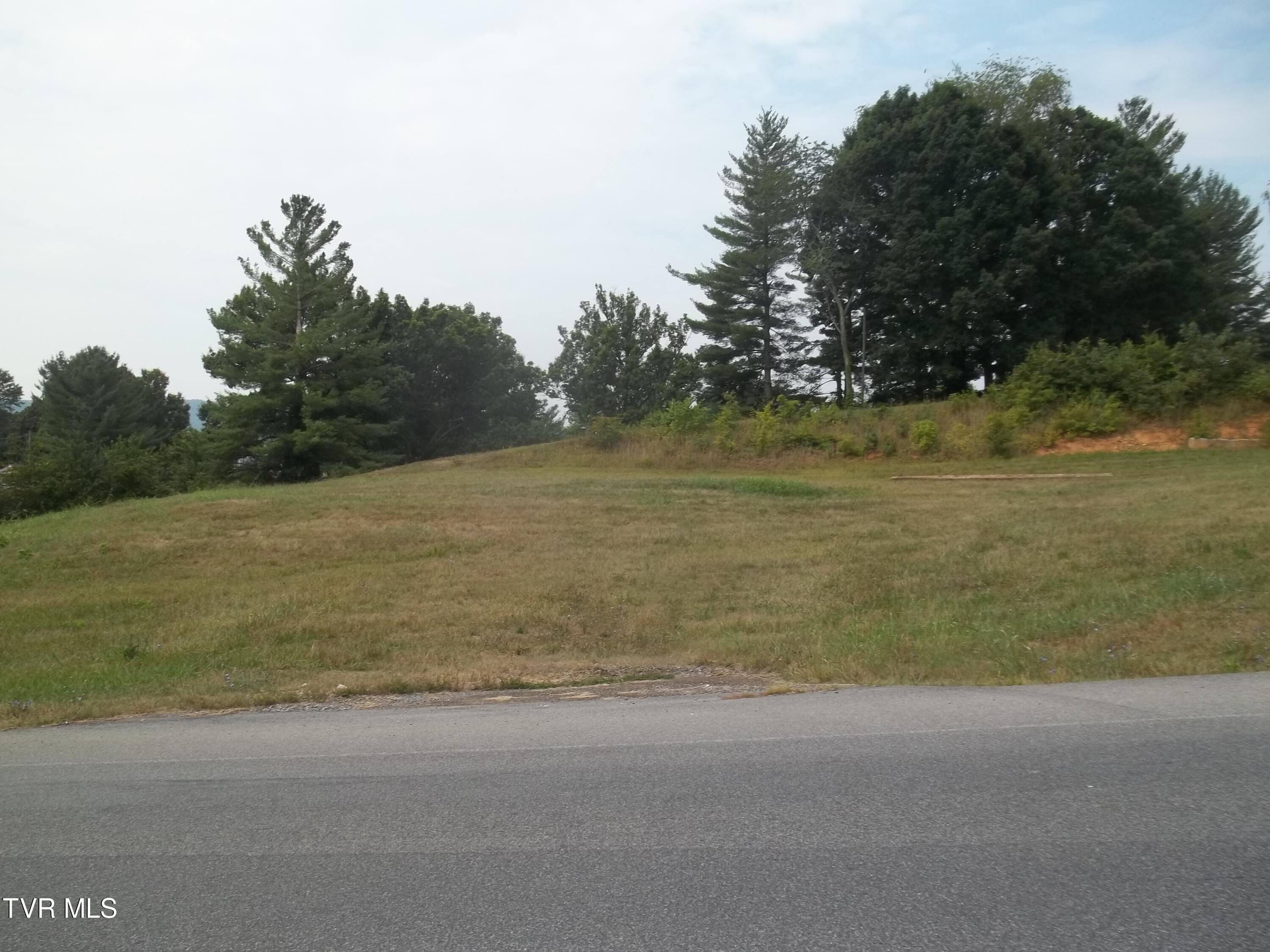 Par 16.01 Silver Lake Road, Church Hill, Tennessee image 6