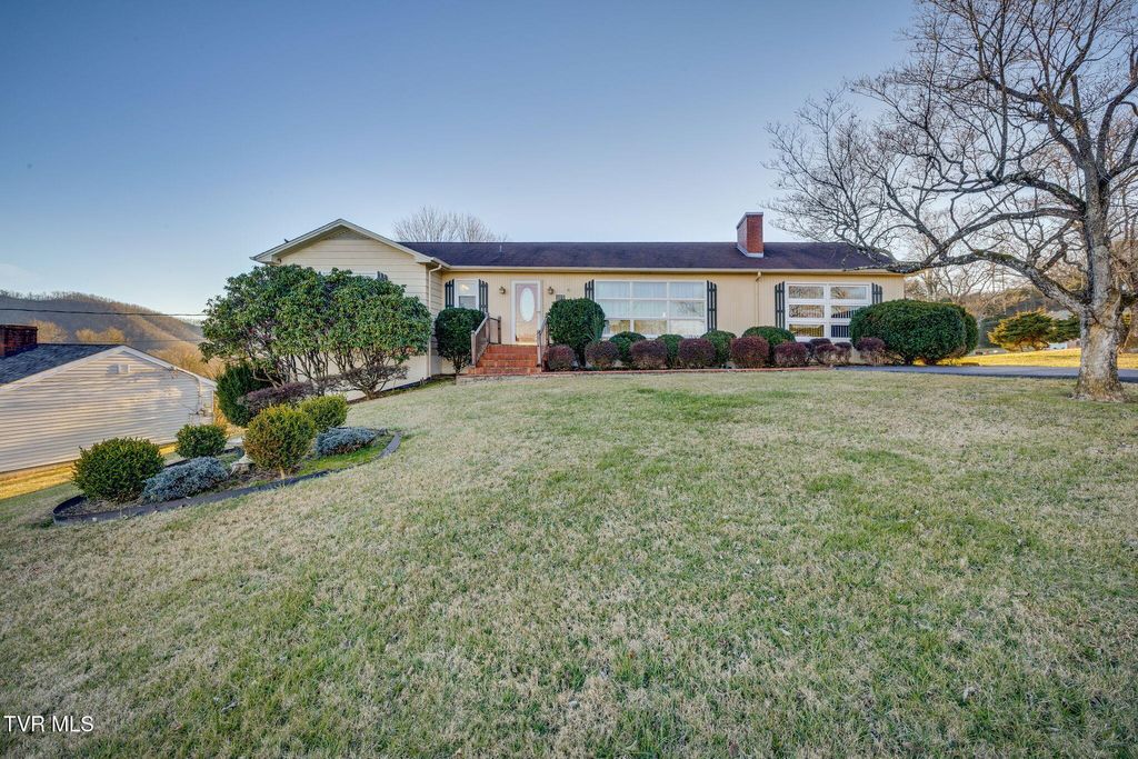Photo of 317 Sunnybrook Drive, Bristol, TN 37620 (MLS # 9990064)