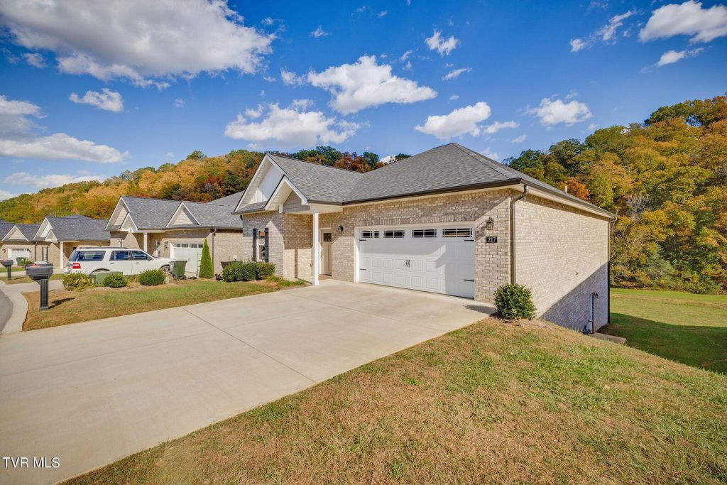 Photo of 217 Quiet Stroll Lane, Johnson City, TN 37615 (MLS # 9987529)