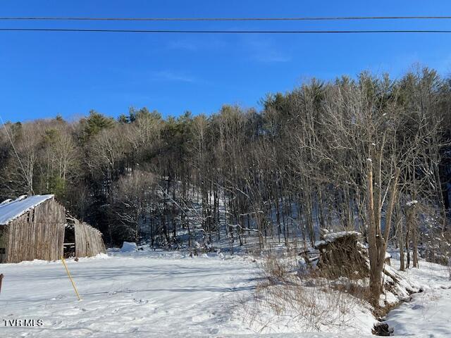 Tbd Forge Creek Rd, Mountain City, Tennessee image 3