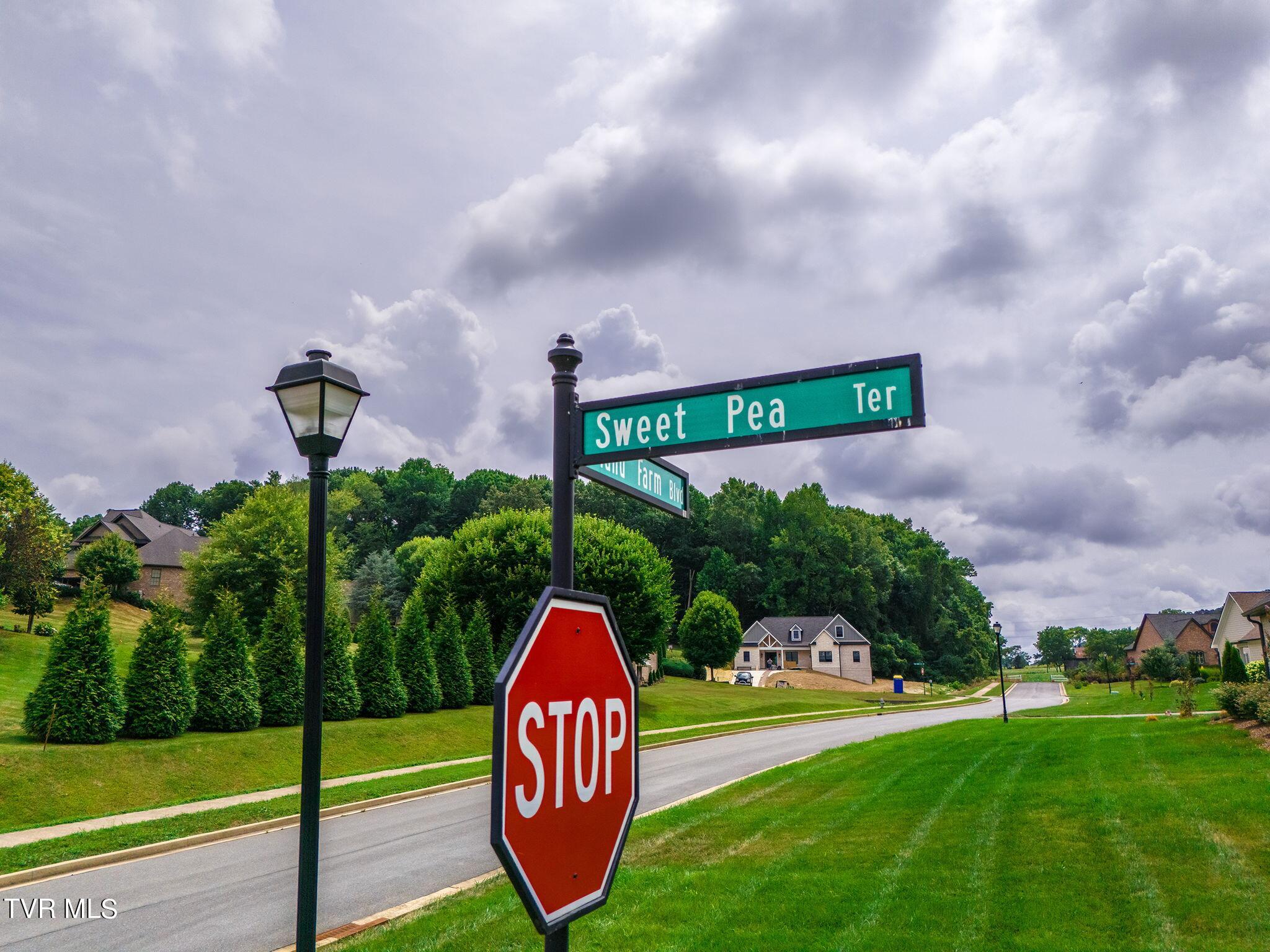 5 Sweet Pea Terrace, Johnson City, Tennessee image 14